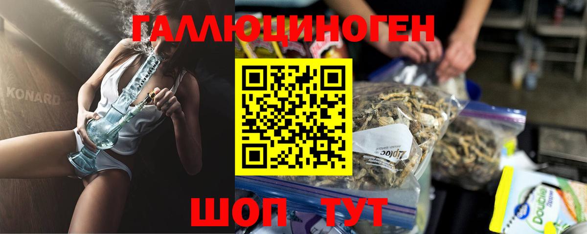 Псилоцибиновые грибы прущие грибы Калининград